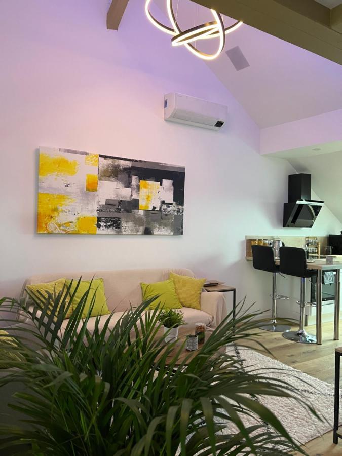 Loft Ravissant Avec Parking Gratuit Apartment Colmar Exterior photo